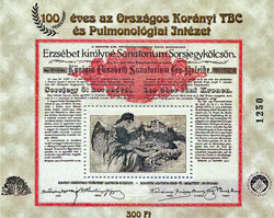 2001. 100 éves az Országos  Korányi TBC   Intézet