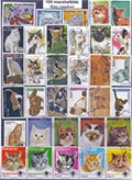 Macskafélék (házi, ragadozó)-100 klf. bélyeg, a csomagban  6 komplett sorozat is
